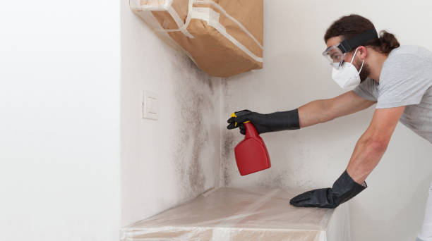 Professional Bathroom Mold Removal technician working in Severn, MD