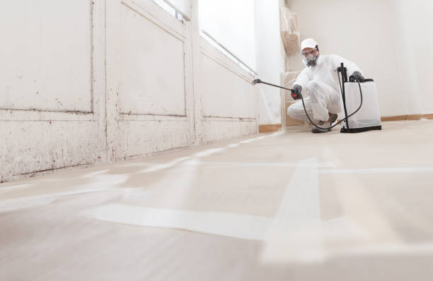 24/7 Emergency Bathroom Mold Removal experts in Severn, MD