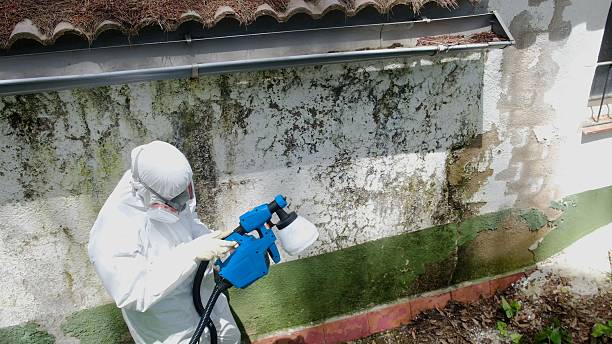 Top rated local Bathroom Mold Removal specialists in Severn, MD
